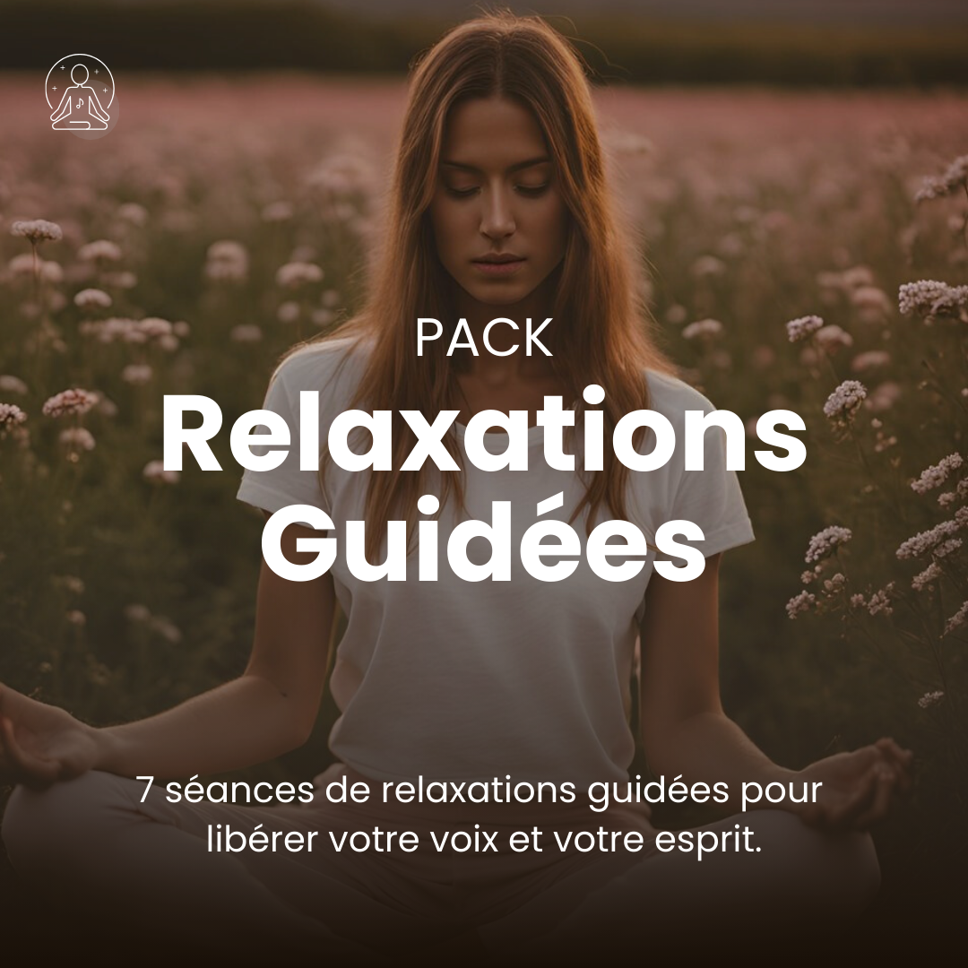 Pack Relaxations Guidées