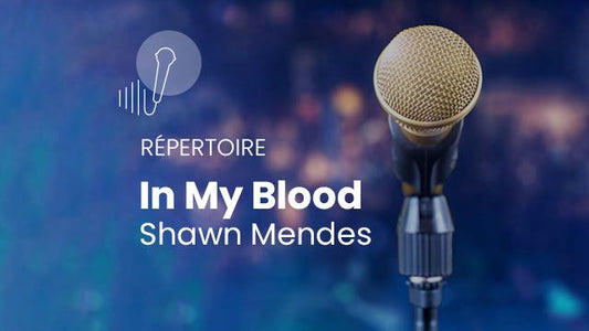 In My Blood - Shawn Mendes