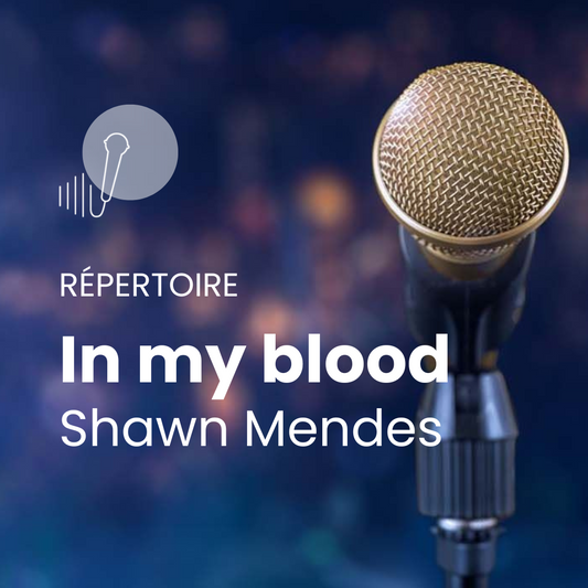 In My Blood - Shawn Mendes